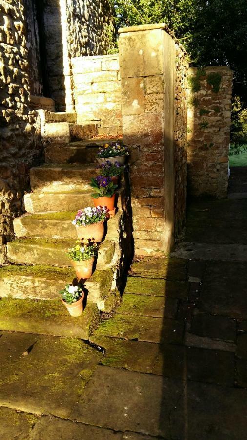 Owl Cottage Hexham Luaran gambar